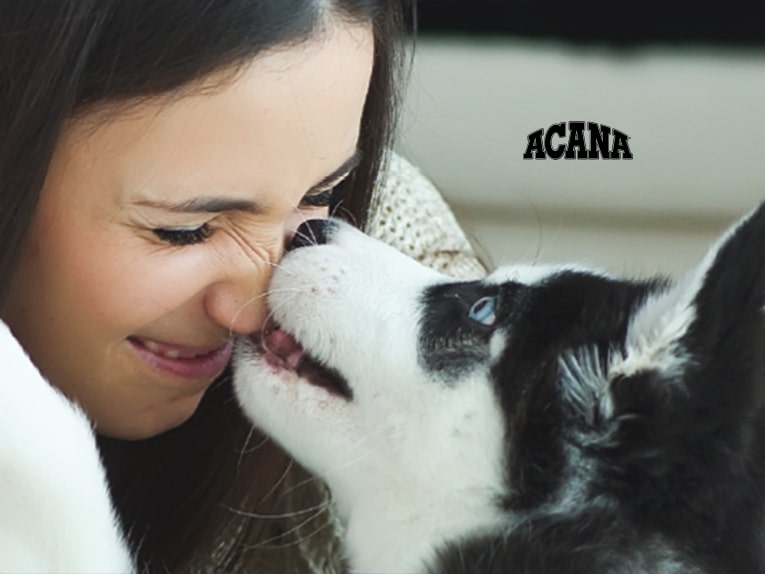 ワイルドプレイリーキャット - ACANA ワイルドプレイリーキャット - ACANA
